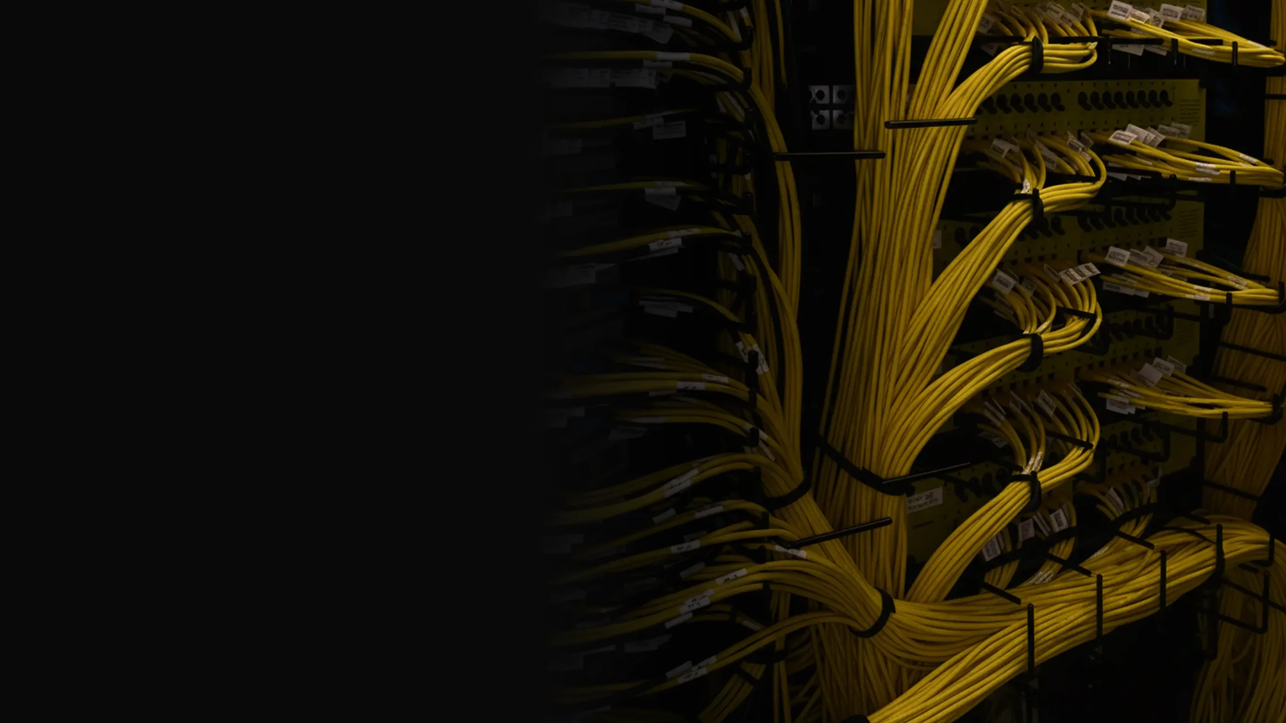 Close-up of organized yellow network cables connected to a server rack, showcasing efficient cable management in a data center environment.